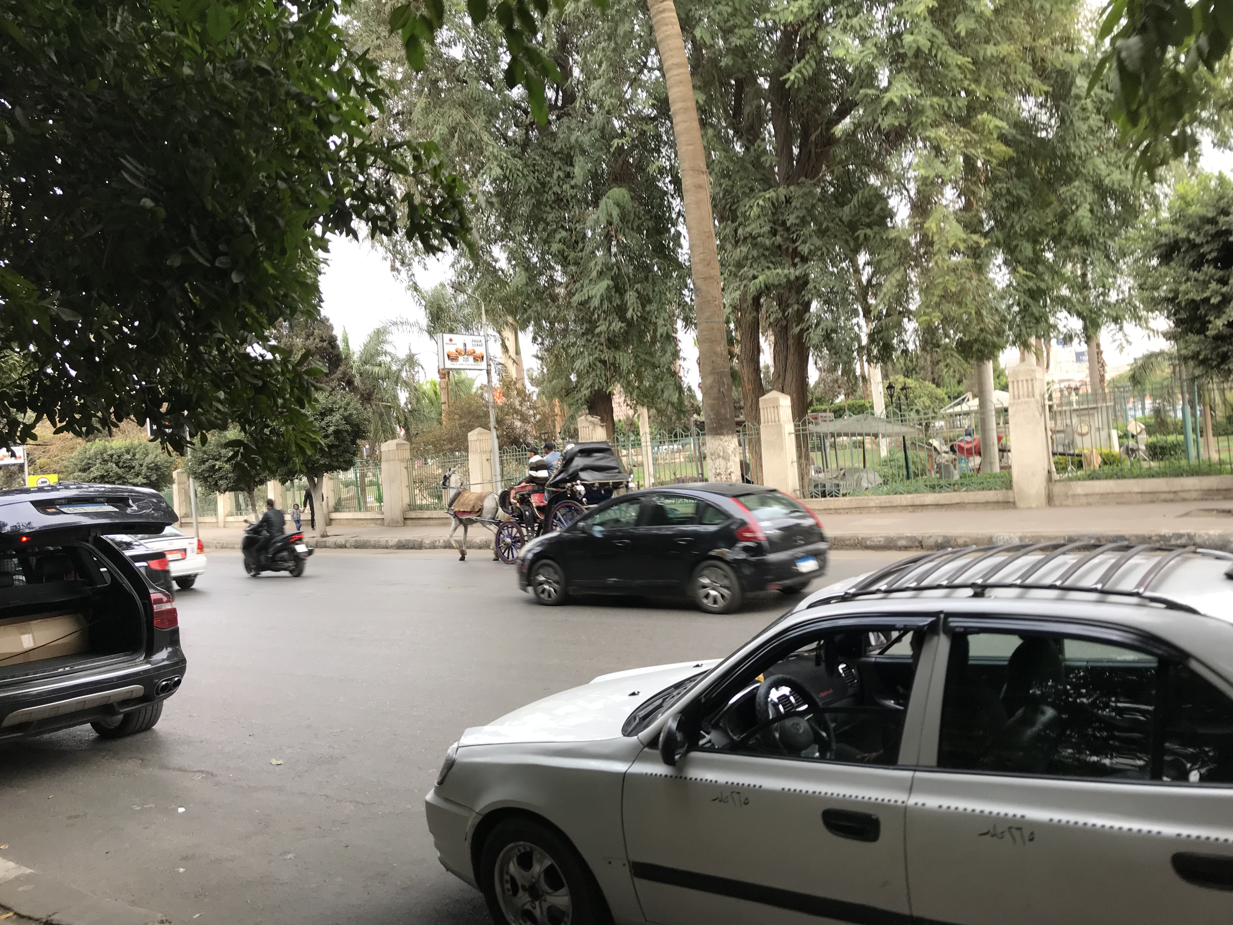 ./2018/16 - Egypt/01 - Cairo Day 2/IMG_9727.jpg
